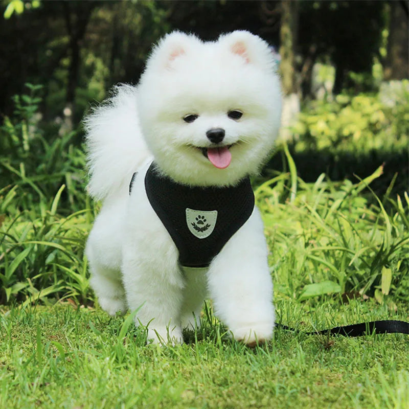 Nylon Mesh Cat Puppy Harness