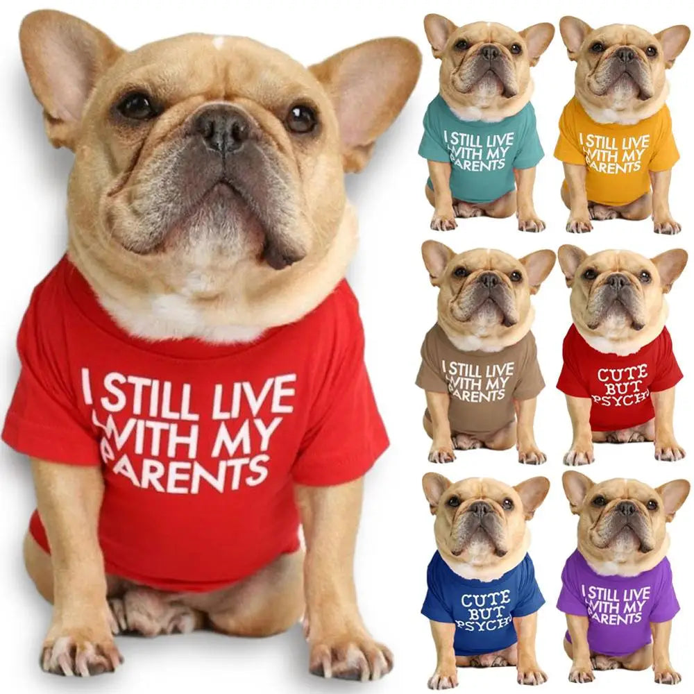 Summer Dog Quality Breathable T-shirt