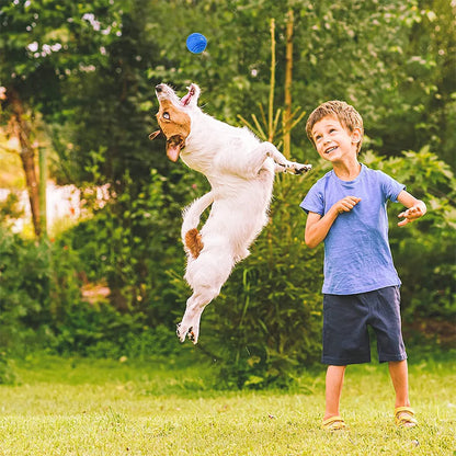 Dog Bouncy Rubber Ball