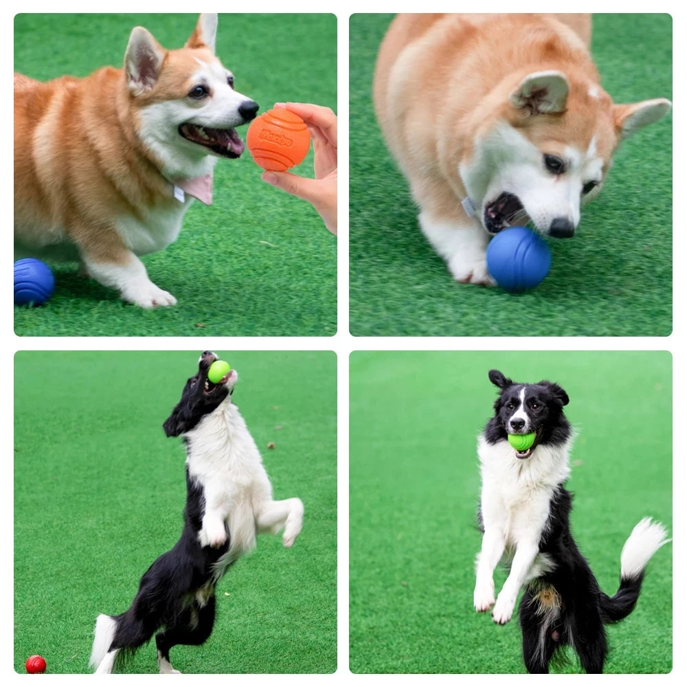 Dog Bouncy Rubber Ball