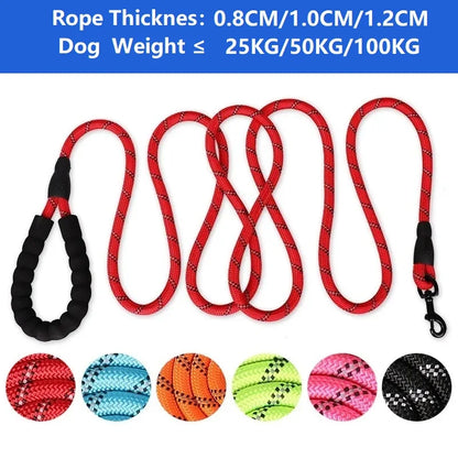 Reinforced Leashes for Dogs