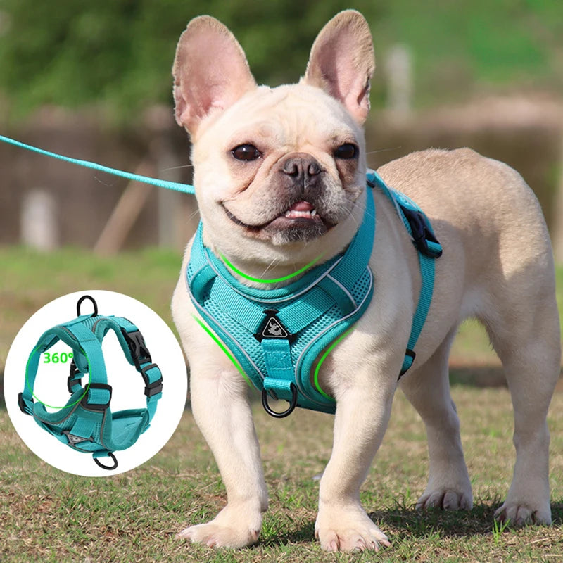 Chest Dog Harness and Leash Set