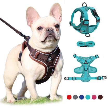 Chest Dog Harness and Leash Set