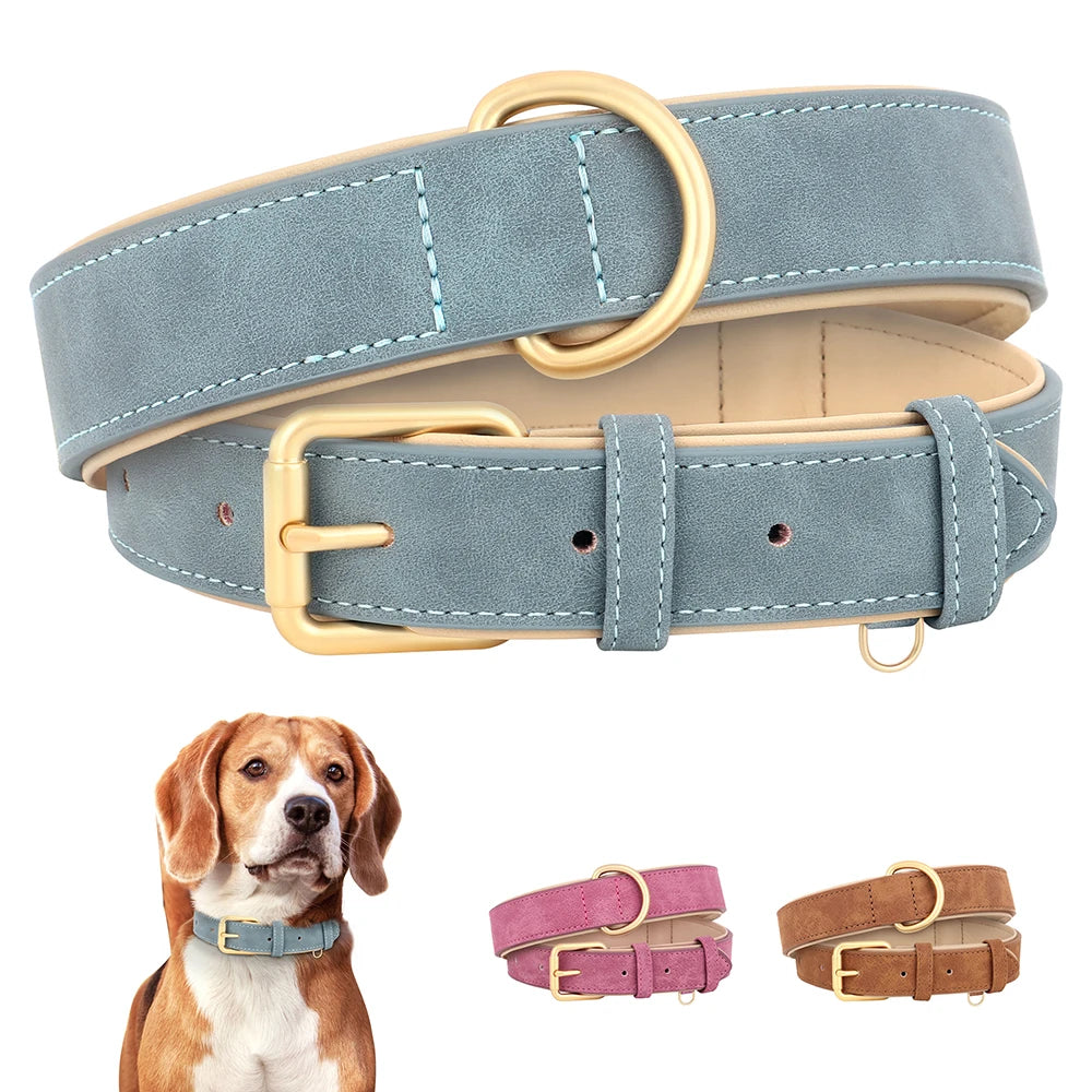 Durable Padded Leather Dog Collar