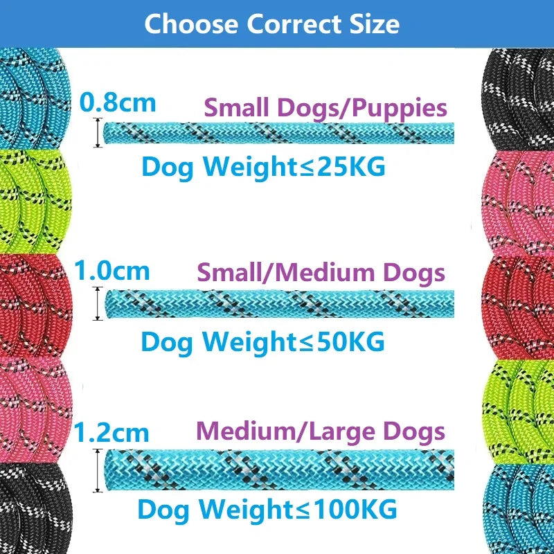 Reinforced Leashes for Dogs