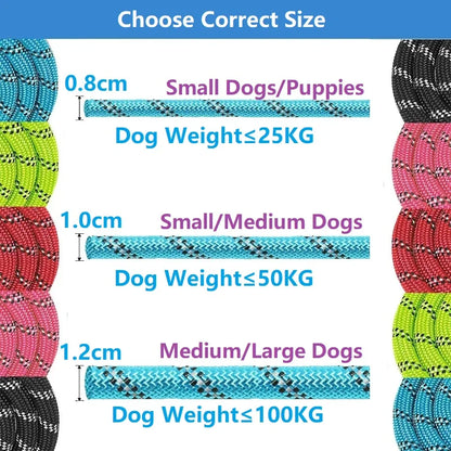 Reinforced Leashes for Dogs