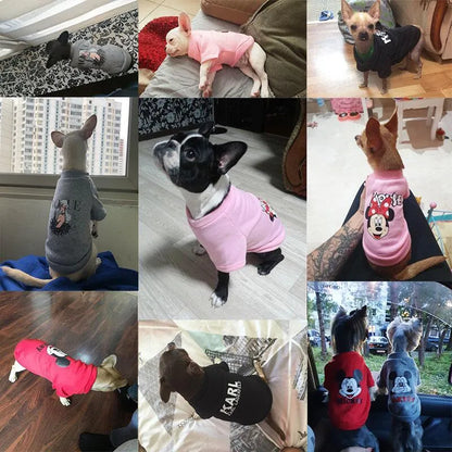 Winter Cute Mickey Dog Hoodies