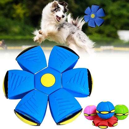 Dog Magic Flying Ball