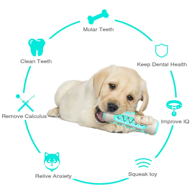 Dog Chew Toothbrush Toys