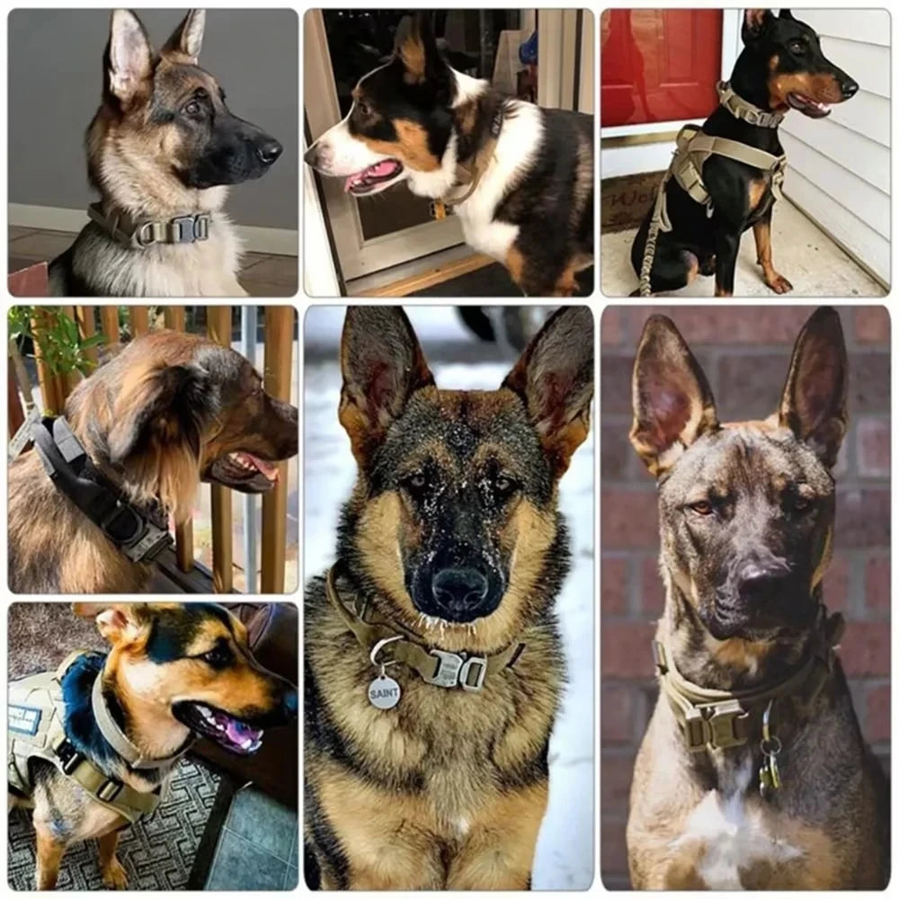 Tactical Duarable Military Dog Collar