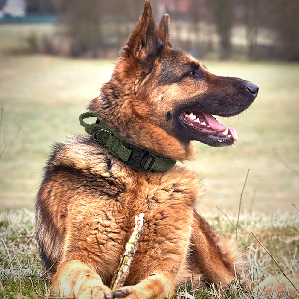 Durable Military Tactical Dog Collar