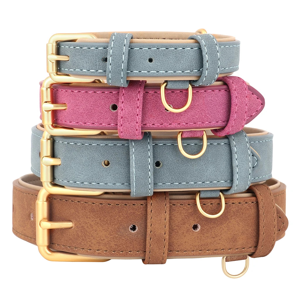 Durable Padded Leather Dog Collar