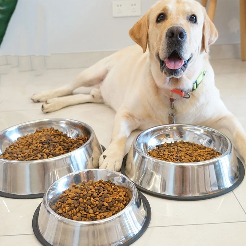 Stainless Steel Dog Bowl