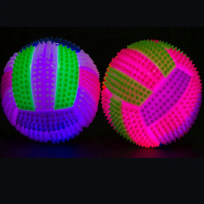 Light up Dog Ball