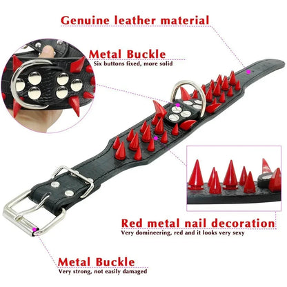 Wide Sharp Spiked Leather Dog Collars