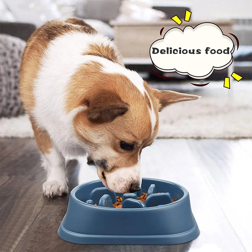 Dog Non Slip Slow Feeder Bowl