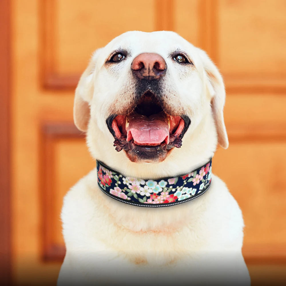 Reflective Adjustable Wide Dog Collar