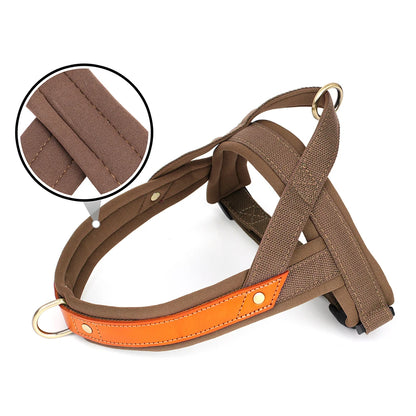 Soft Padded Durable Dog Harnesses