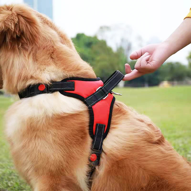 Chest Reflective Adjustable Dog Harness