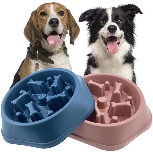 Dog Slow Feeder Bowl