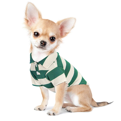 Dog Summer T-shirt