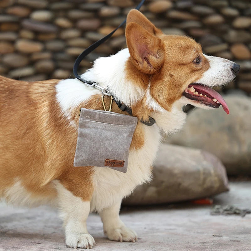 Dog Training Treat Bag