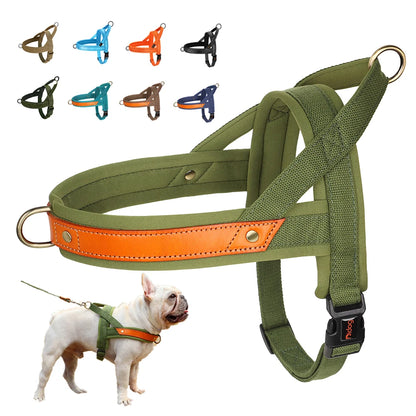 Soft Padded Durable Dog Harnesses