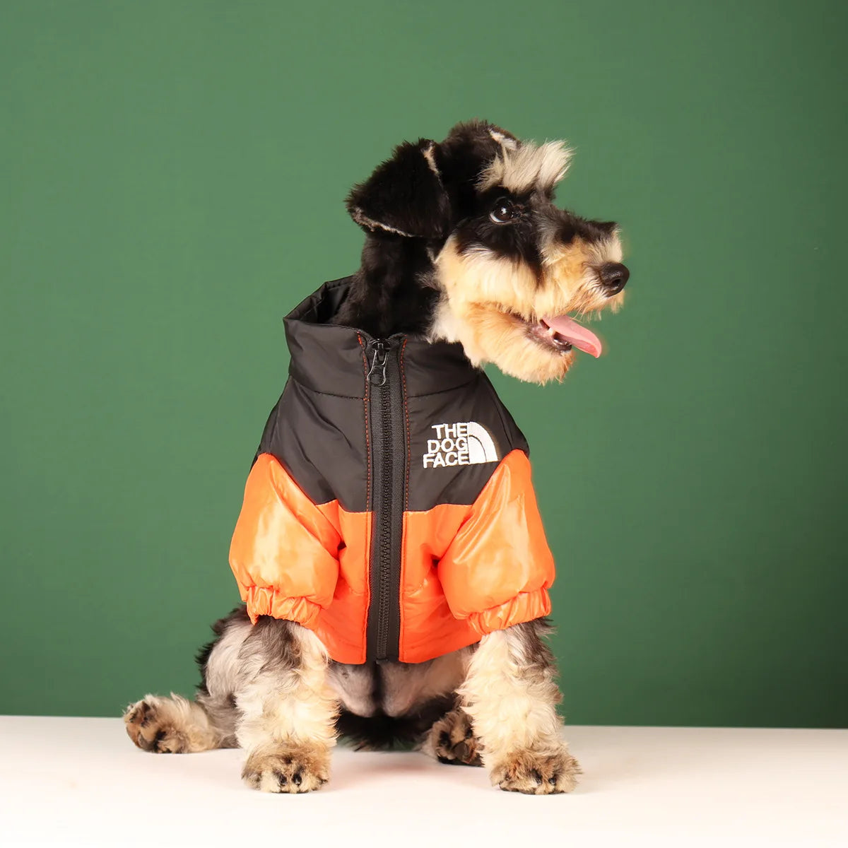 Large Winter Dog Clothes