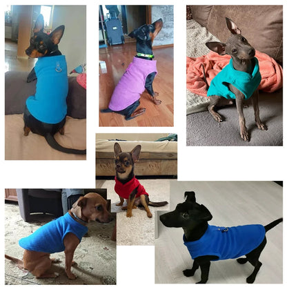 Winter Fleece Dog Clothes