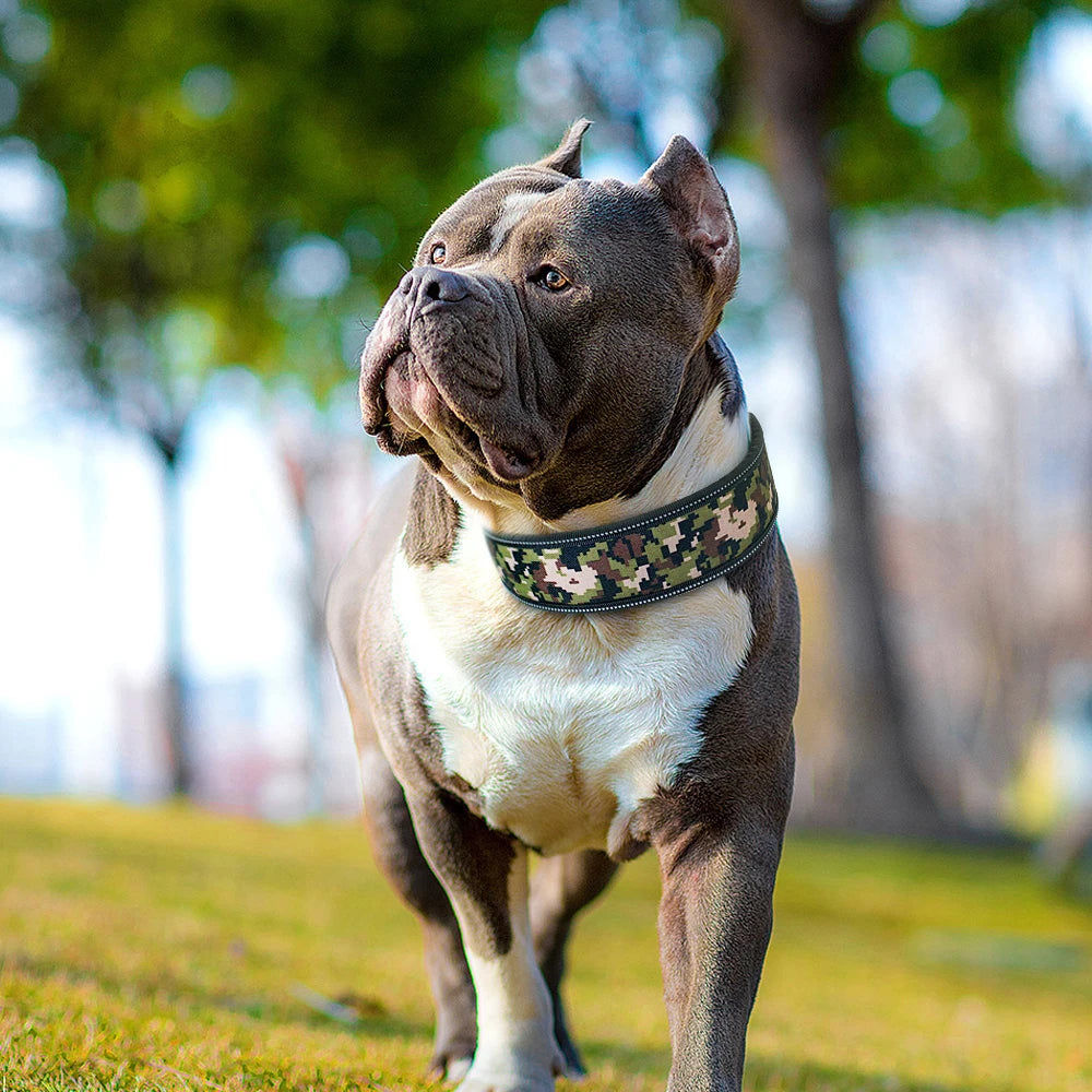 Reflective Adjustable Wide Dog Collar