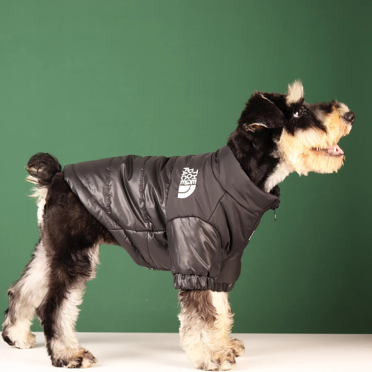 Large Winter Dog Clothes