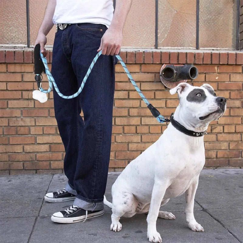 Reinforced Leashes for Dogs