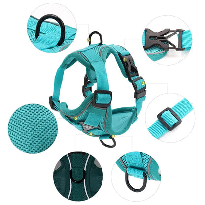 Chest Dog Harness and Leash Set