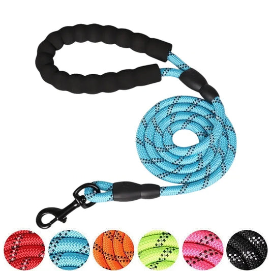 Reinforced Leashes for Dogs