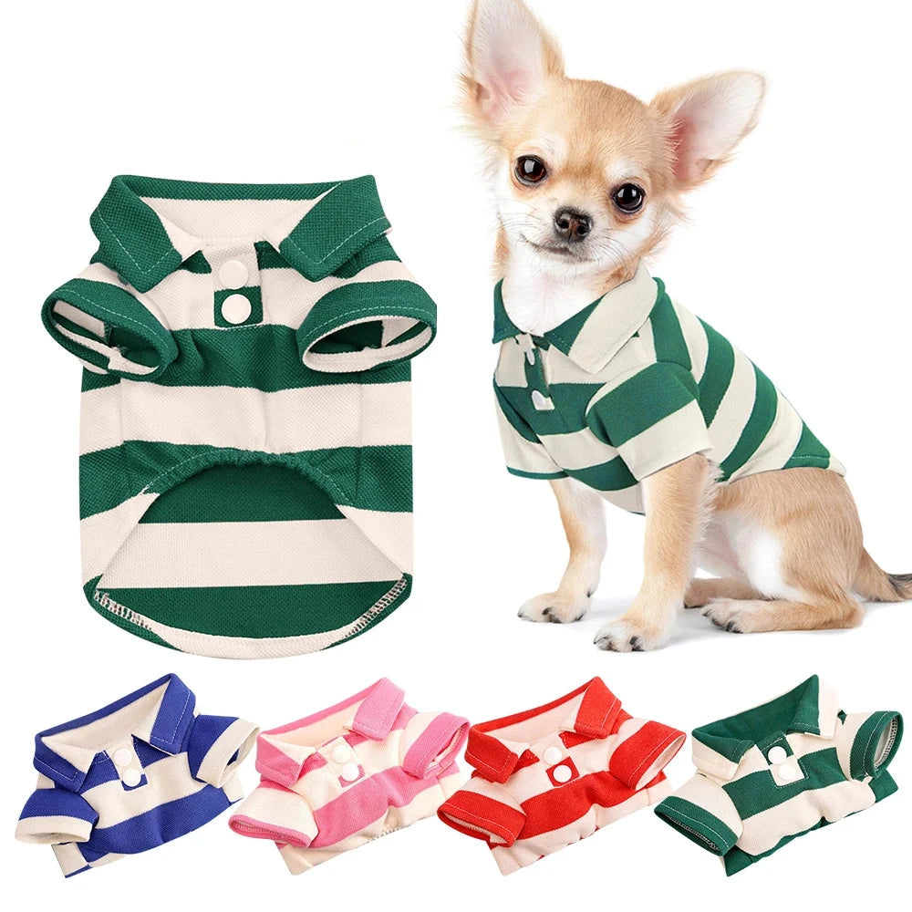 Dog Summer T-shirt