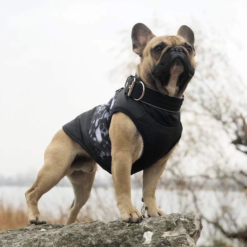 Winter Warm Waterproof Dog Clothes
