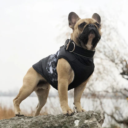Winter Warm Waterproof Dog Clothes