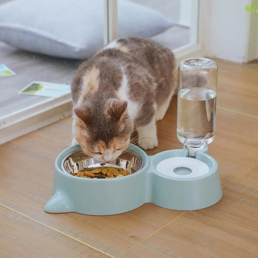 Dog Bowl with Water Dispenser