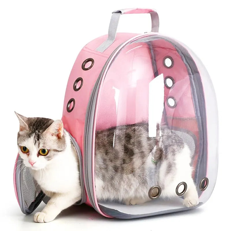 Transparent Cat Carrier Backpack