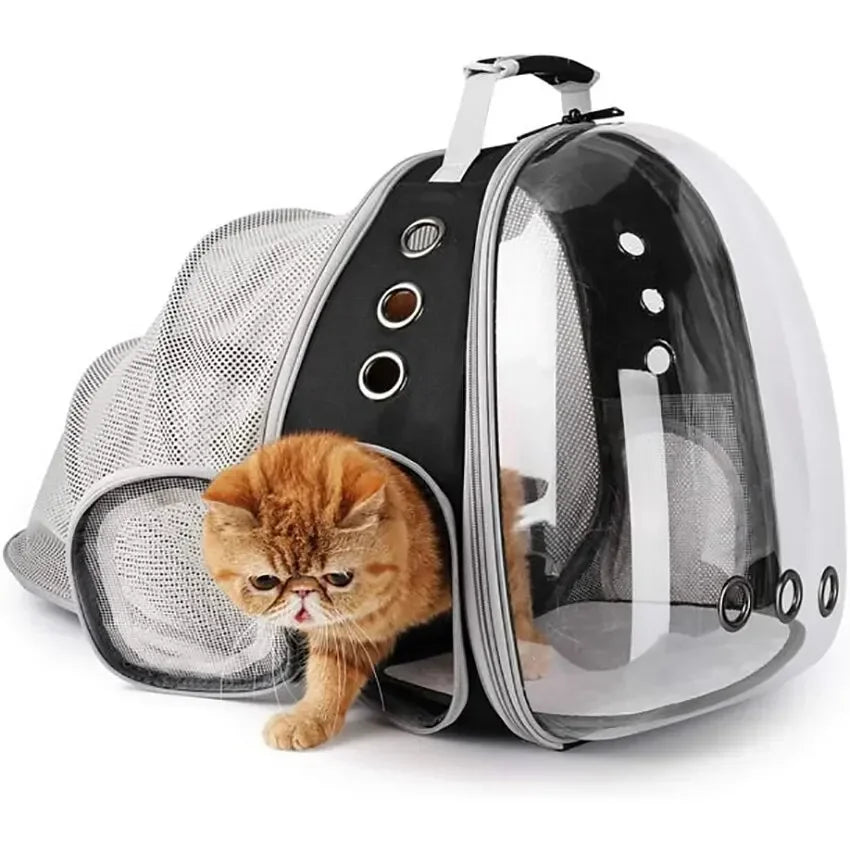 Transparent Cat Carrier Backpack